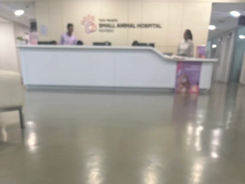 Tata Trust Small Animal Hospital, Mumbai, photo 5