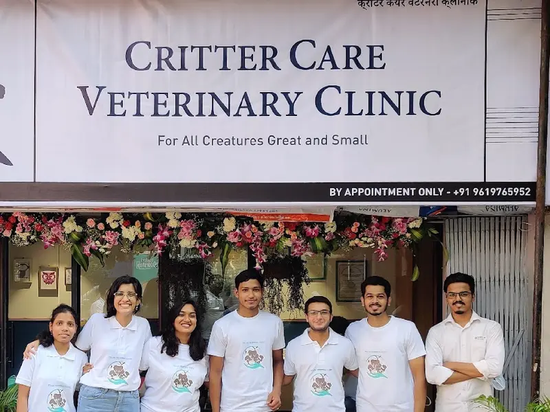 Critter Care Veterinary Clinic, photo 5