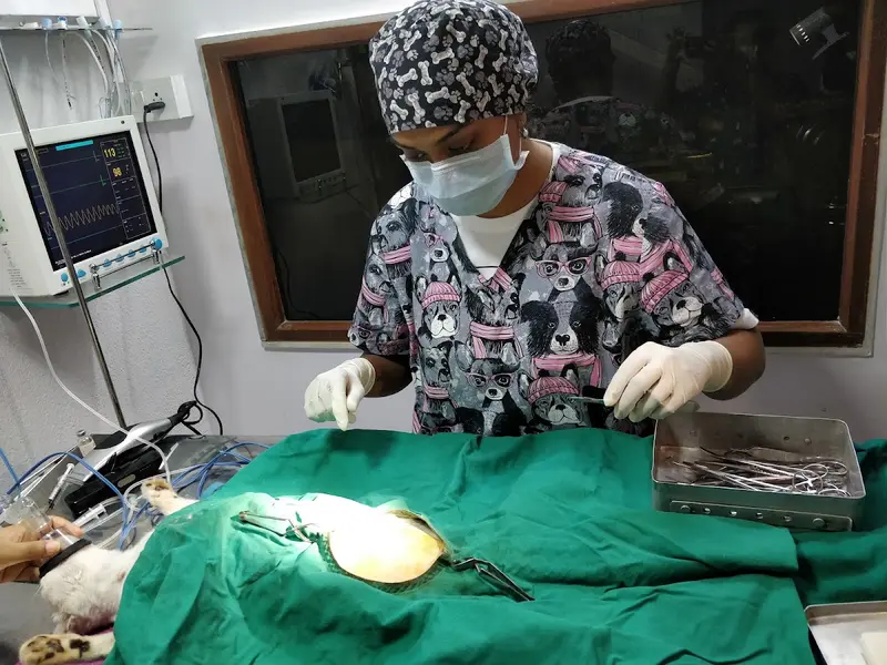 Critter Care Veterinary Clinic, photo 4