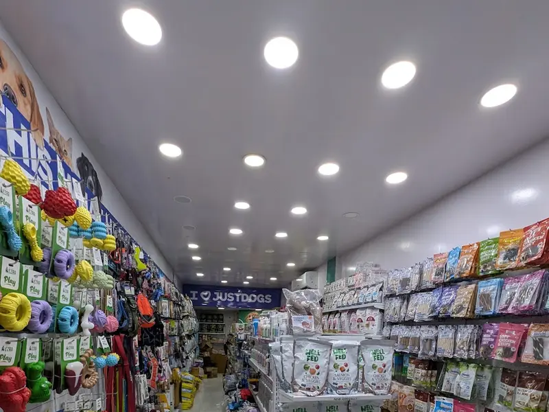 JUSTCATS | Mahim, Mumbai - Pet Store, photo 3