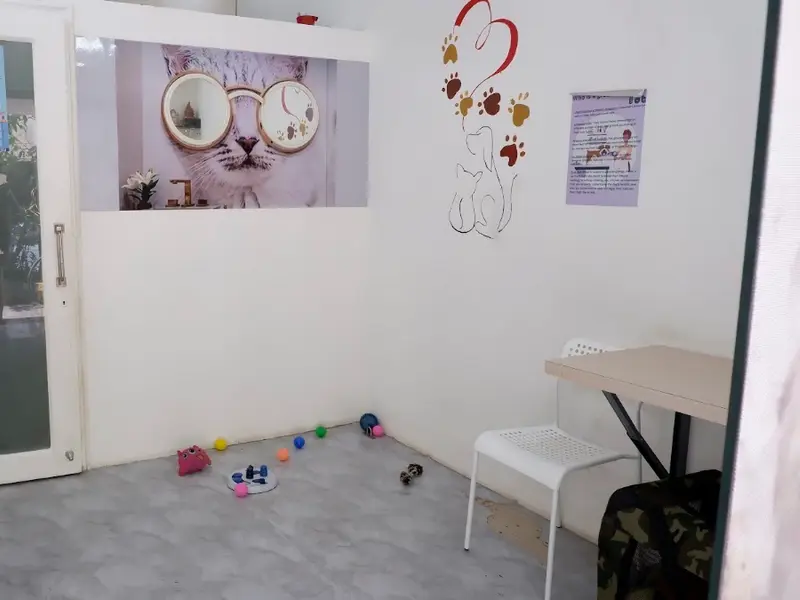 Klub K9 Pet Shop Mumbai, photo 2
