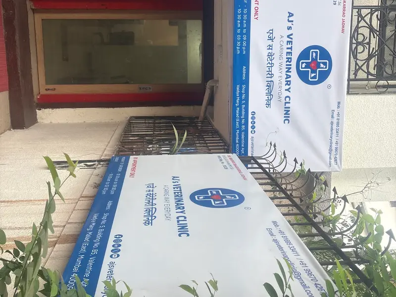 AJ's Veterinary Clinic, photo 2