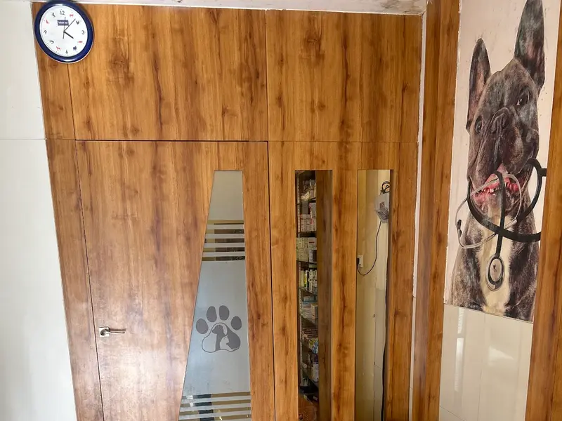Dr. Nagare's Animal Care Clinic, photo 3