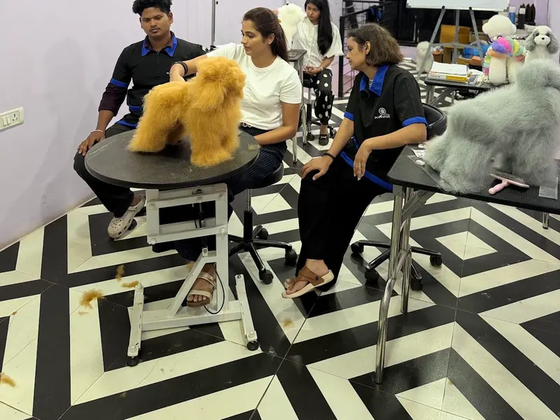 Pet Grooming Tales Grooming Salon & Academy, photo 2