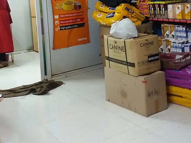 Dr.Nilima's Veterinary Clinic, photo 5
