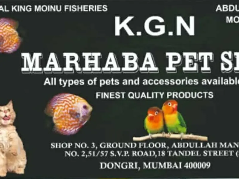 Marhaba Pet Shop, photo 3