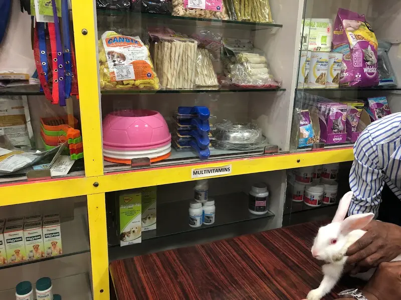 Dr. Vinayak's Pet Care Clinic, photo 4