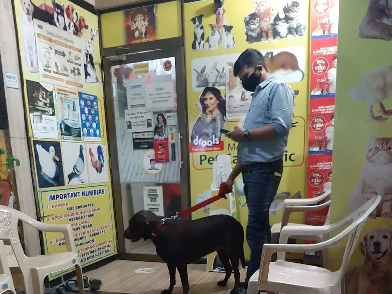 MANSIS PET CARE CLINIC, photo 2