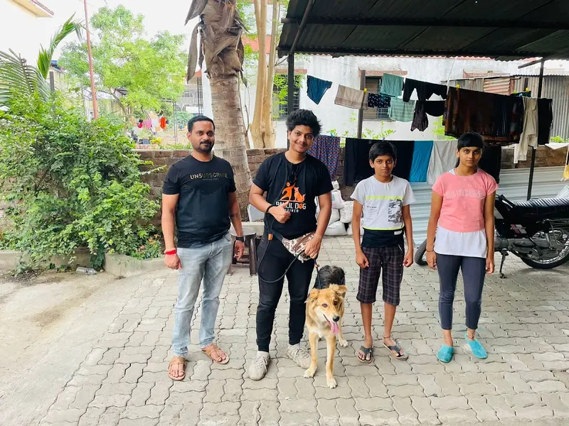 Rahul Dog Trainer, photo 5