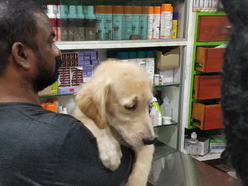 Eagle 9 Pet Shop & Clinic, photo 4