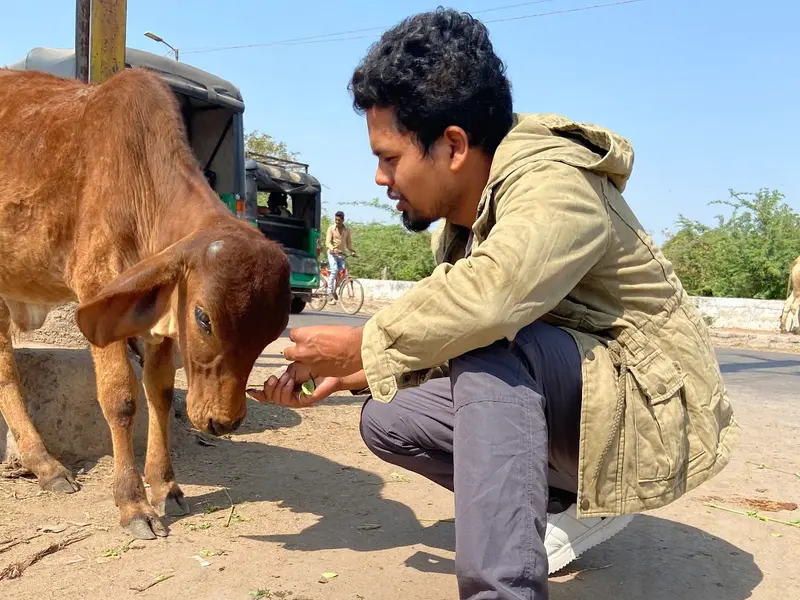 Dog Trainer - Sachin Sorte, photo 2
