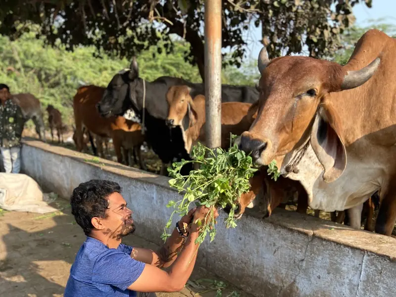 Dog Trainer - Sachin Sorte, photo 3