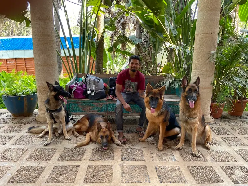 Dog Trainer - Sachin Sorte, photo 5