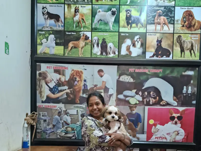 Little Cutes Vet Clinic & Pet Shop, photo 4