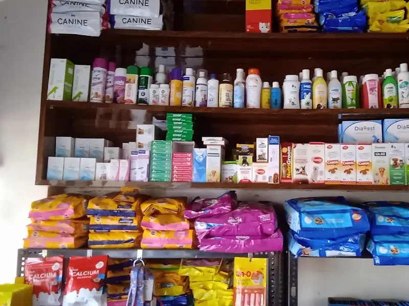 Little Cutes Vet Clinic & Pet Shop, photo 5