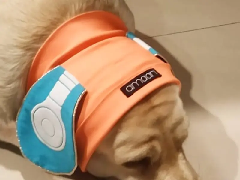 Amaari Petwear, photo 5