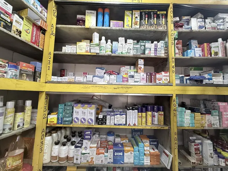 Goodman Chemist, photo 2