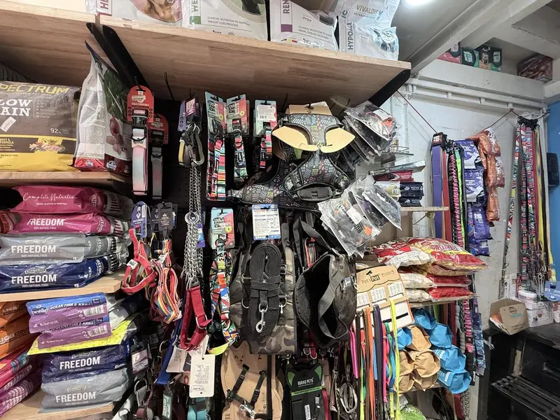 Goodman Chemist, photo 3