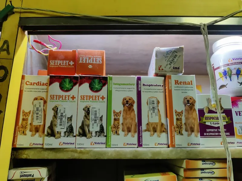 Goodman Chemist, photo 4