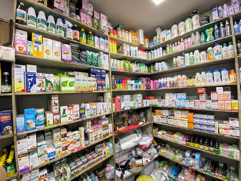 Goodman Chemist, photo 5