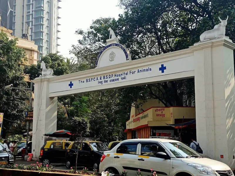Mumbai Veterinary College, photo 2