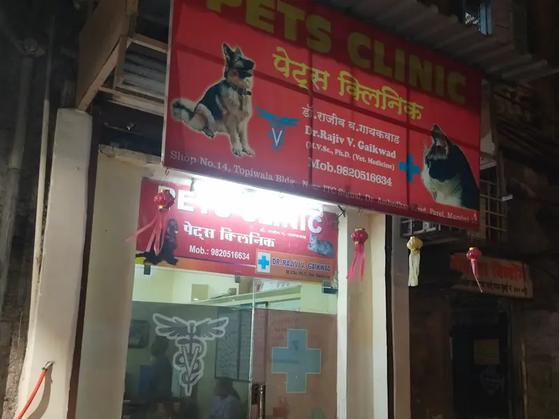 PETS CLINIC, photo 3