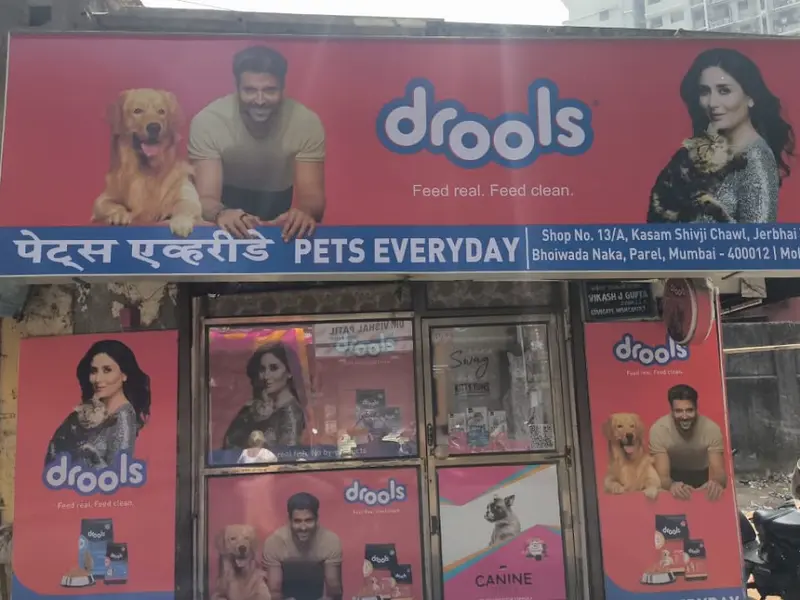 PETS EVERYDAY, photo 2