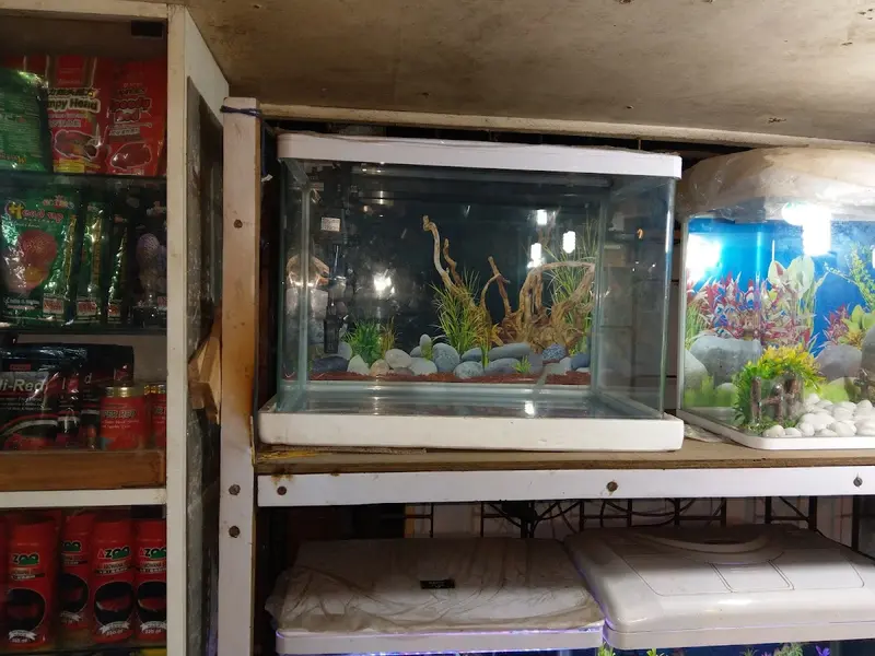 Shipali Aquarium, photo 3
