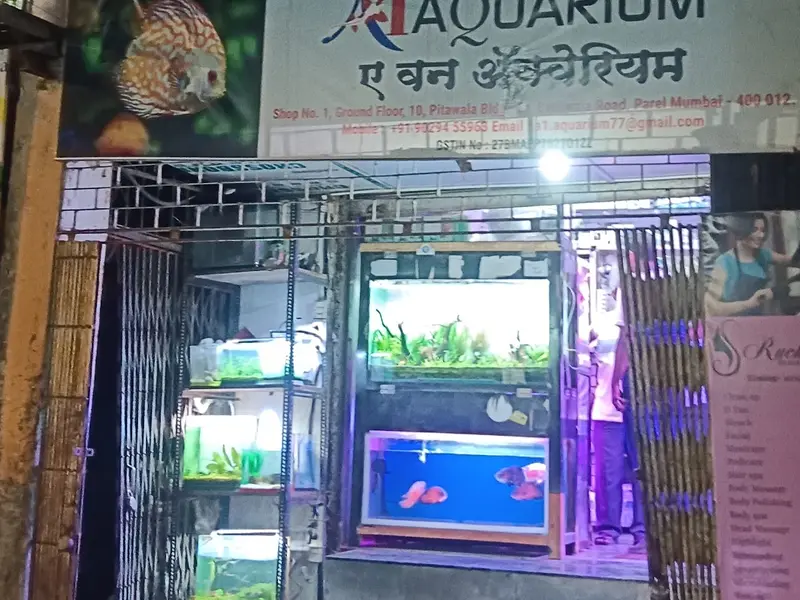 Shipali Aquarium