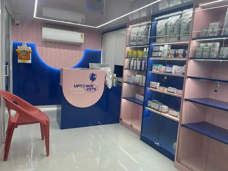 Uptown Vets Multispeciality Pet Clinic in Parel, photo 2