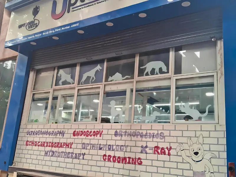 Uptown Vets Multispeciality Pet Clinic in Parel, photo 3