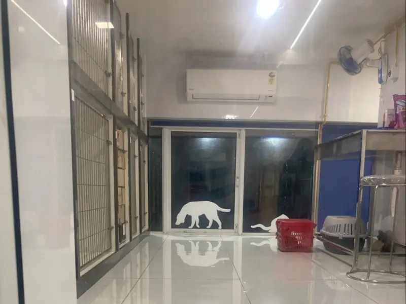 Uptown Vets Multispeciality Pet Clinic in Parel, photo 5