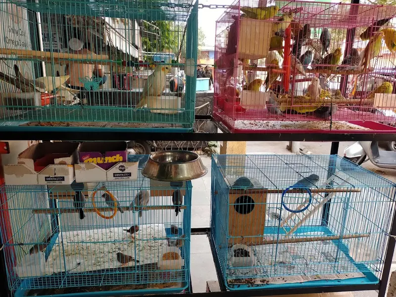 Dezy Pet Care shop, photo 3