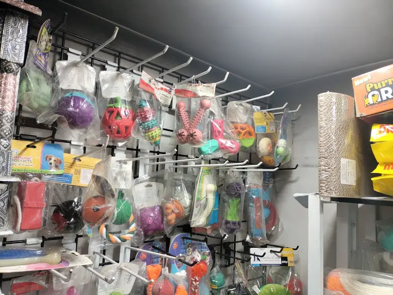 Dezy Pet Care shop, photo 5