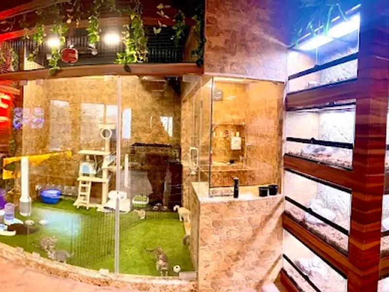Drogo Pets Pvt Ltd, photo 2