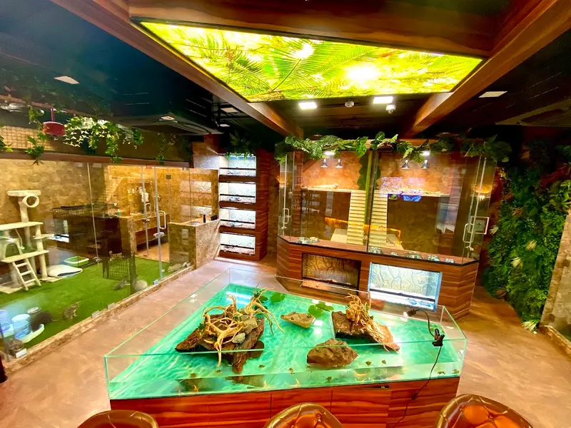 Drogo Pets Pvt Ltd, photo 5