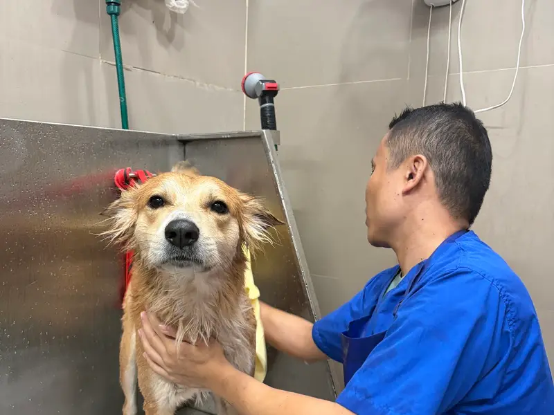Vetic Pet Clinic Powai, photo 4