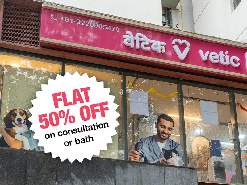Vetic Pet Clinic Powai