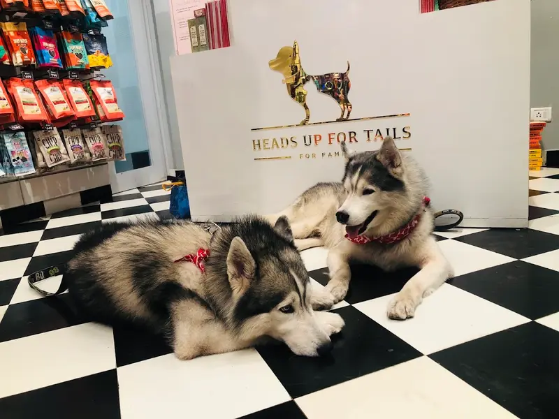 Heads Up For Tails Pet Store & Spa - Prabhadevi, Mumbai, photo 3