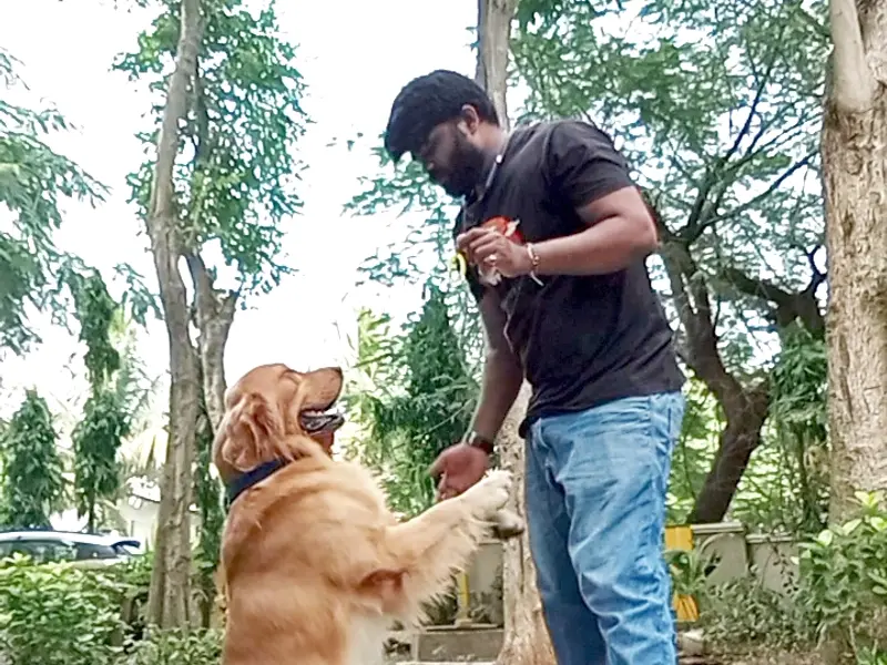 Maggie Pets Dogs and More Best Dog Trainer_Canine Behaviorist Mumbai, photo 2