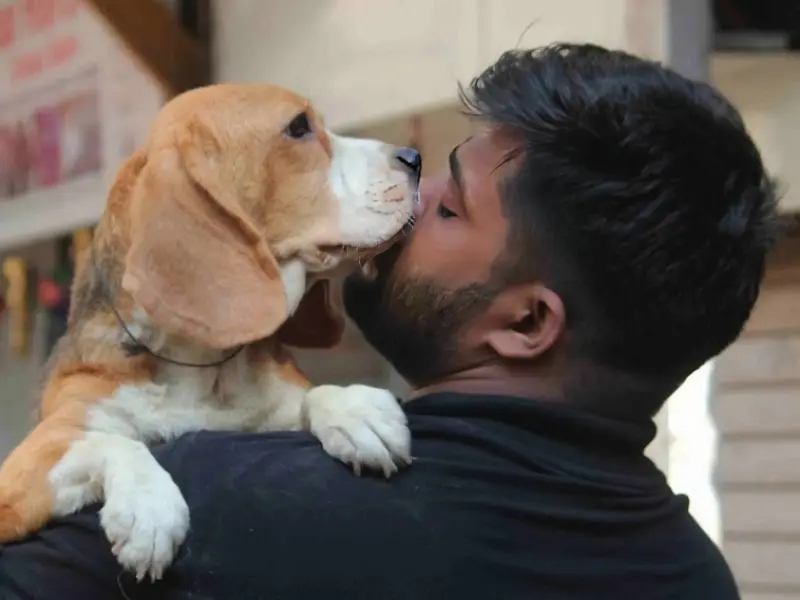 Maggie Pets Dogs and More Best Dog Trainer_Canine Behaviorist Mumbai, photo 3