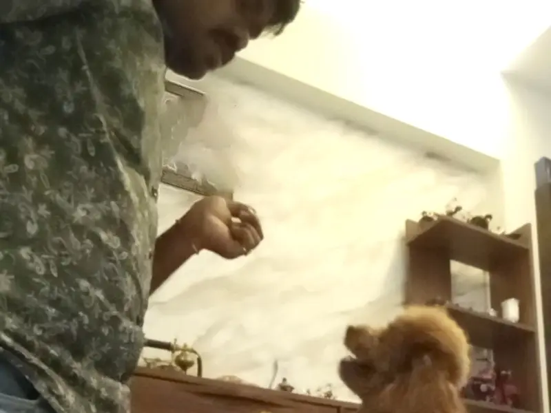 Maggie Pets Dogs and More Best Dog Trainer_Canine Behaviorist Mumbai, photo 4