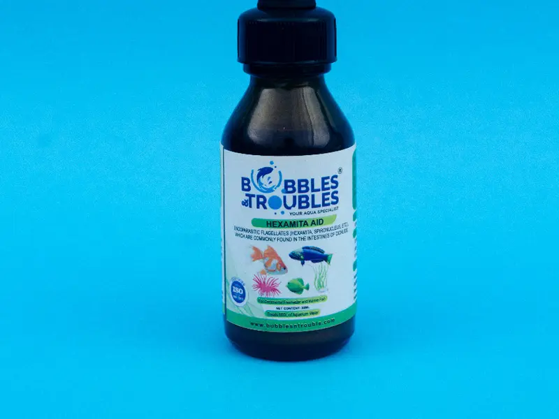 BUBBLES N TROUBLES, photo 2