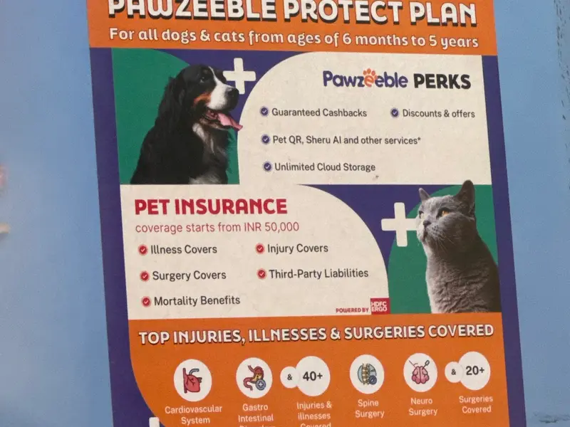 Vet 7 Ophthalmo - Comprehensive Eye Care & Surgical Centre for Pets, photo 3