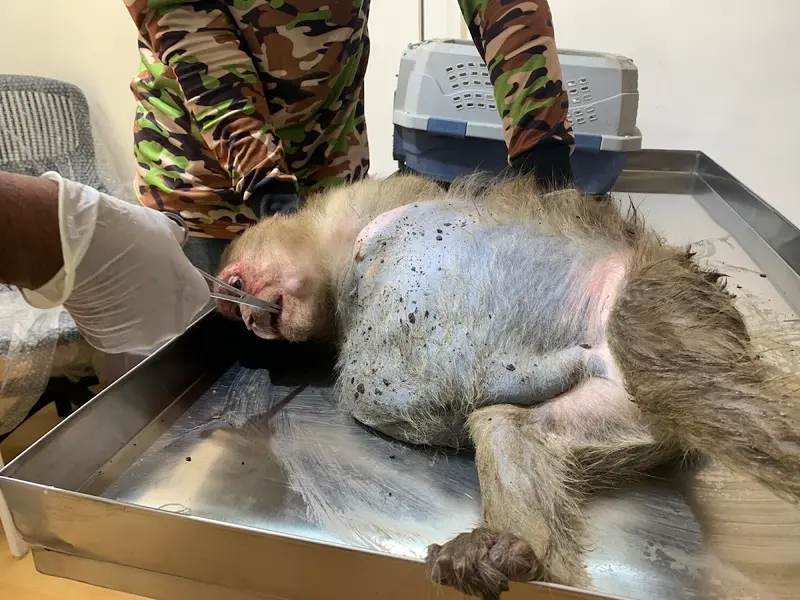 Prolife Veterinary Clinic, photo 2