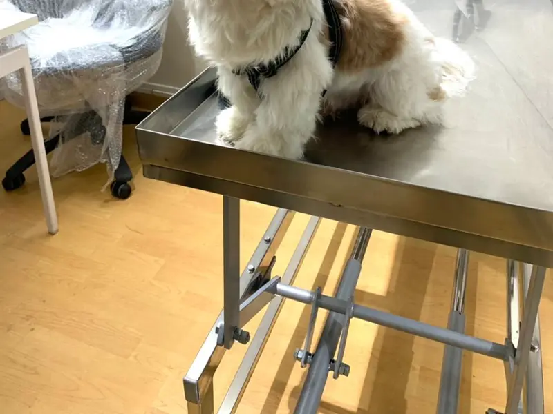 Prolife Veterinary Clinic, photo 3