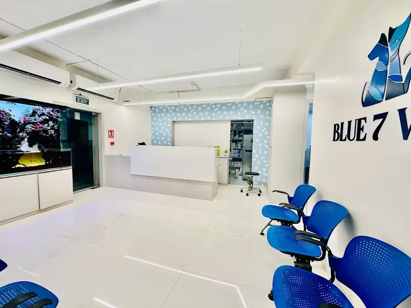 BLUE 7 VETS Altamount Road pvt. ltd. - A Veterinary Multi-Speciality, photo 4