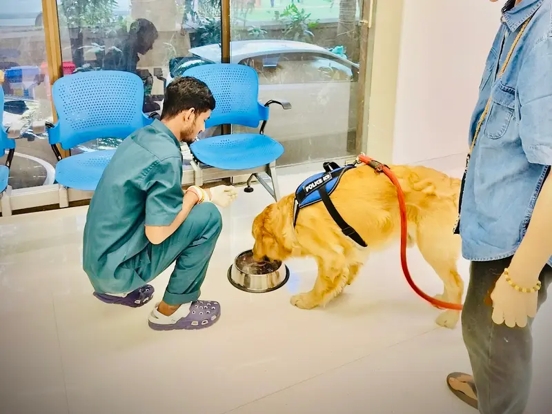 BLUE 7 VETS Altamount Road pvt. ltd. - A Veterinary Multi-Speciality, photo 5