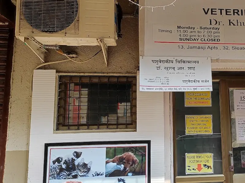 Dr. Khushbu R.Shah Veterinary surgeon, photo 3
