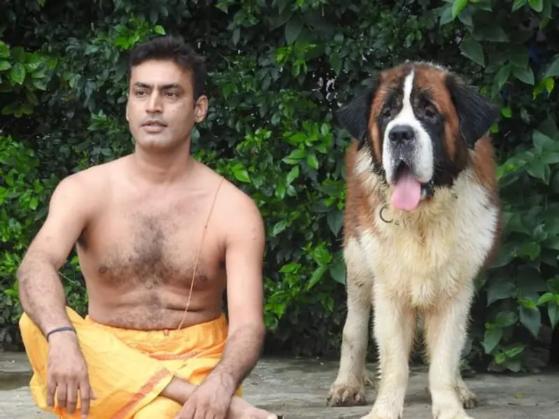 Action Dogs Services Pvt. Ltd., photo 2